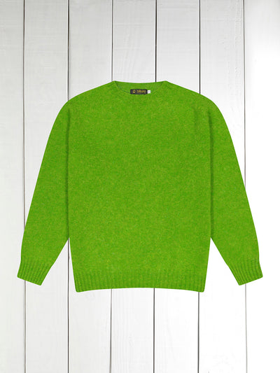 pull-over à col rond 100 % shaggy wool granny smith